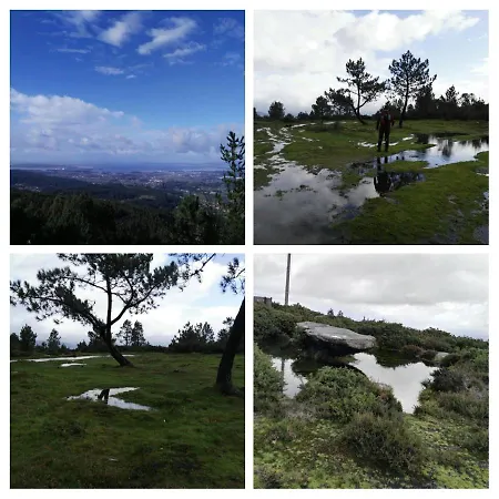 Aticos Con Terraza Vistas Urbanos 100 Playa