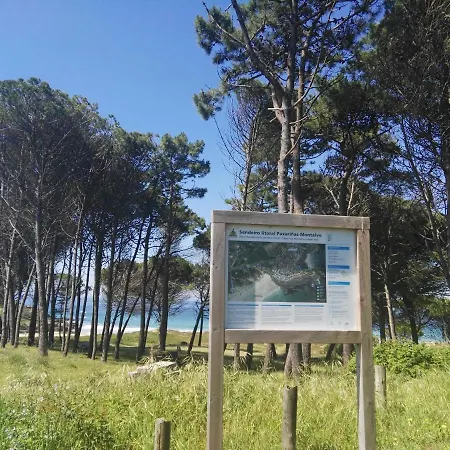 Aticos Con Terraza Vistas Urbanos 100 Playa Apartment