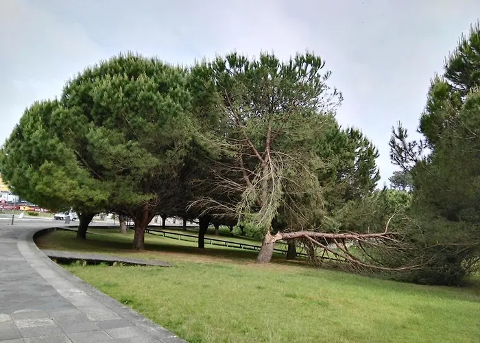 Aticos Con Terraza Vistas Urbanos 100 Playa Apartment *