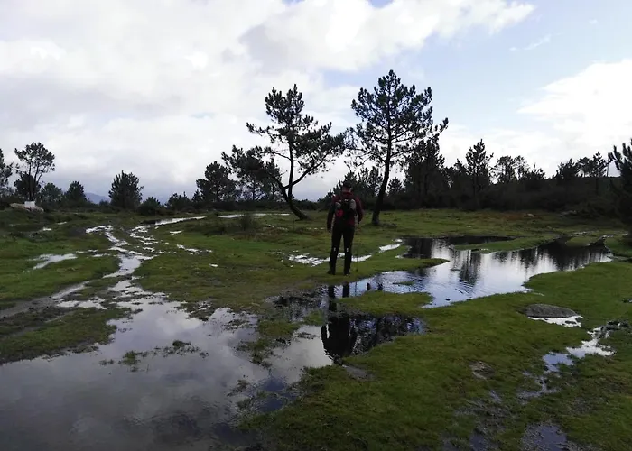 Aticos Con Terraza Vistas Urbanos 100 Playa