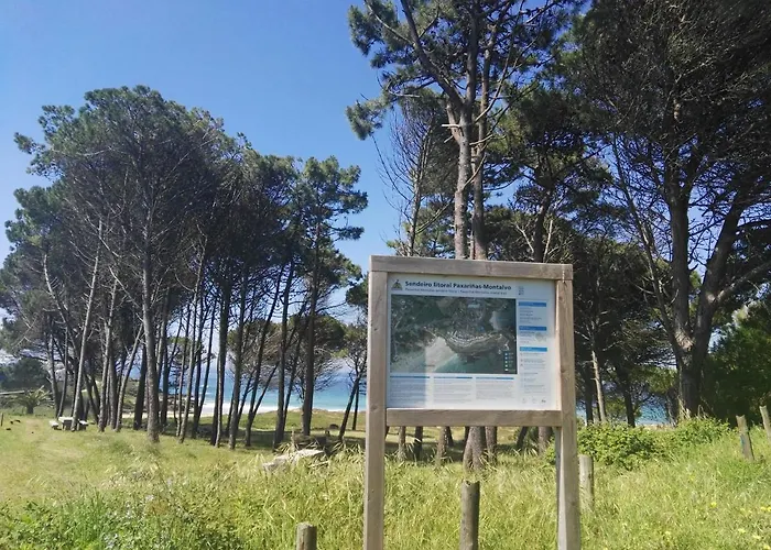 Aticos Con Terraza Vistas Urbanos 100 Playa Appartement